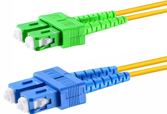 SCupc/SCapc-DSM-1